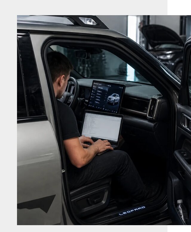 Русификация BYD Leopard 3 в Черемхове по цене от 20748 р. | ФастМобиль-Чрм